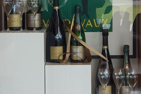 Yarra Valley Wine Tasting Day Tour From Melbourne - Travel Search 2