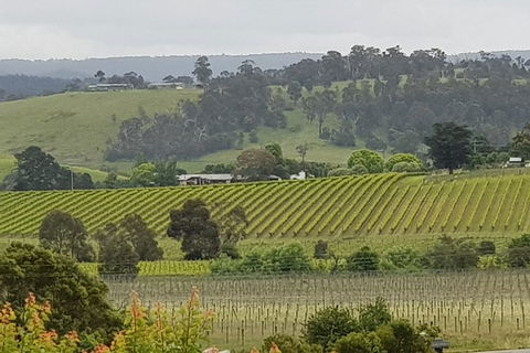 Yarra Valley Wine Tasting Day Tour From Melbourne - Travel Search 0