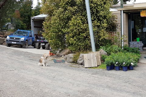 Yarra Valley Wineries And Rayners Orchard Tour From Melbourne - Tourism Guide 8