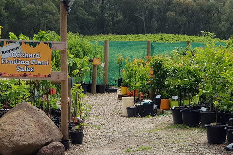 Yarra Valley Wineries And Rayners Orchard Tour From Melbourne - Tourism Guide 0