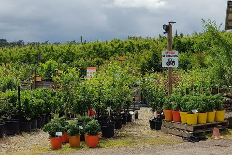 Yarra Valley Wineries And Rayners Orchard Tour From Melbourne - Tourism Guide 22