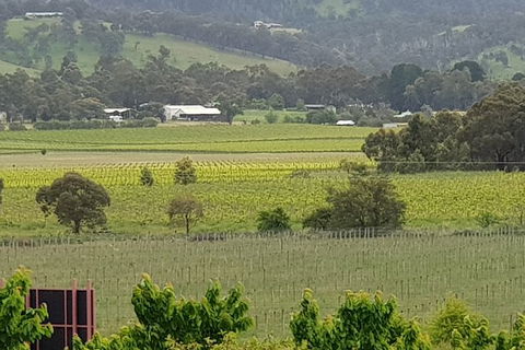 Yarra Valley Wineries And Rayners Orchard Tour From Melbourne - Tourism Guide 2
