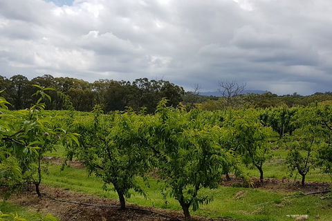 Yarra Valley Wineries And Rayners Orchard Tour From Melbourne - Tourism Guide 18