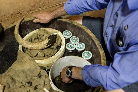 Half Day Wine & Food Tour - Tourism Guide 5