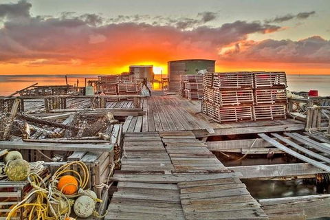 Abrolhos Islands 3 Day Fishing Charter - Cruises Travel 5