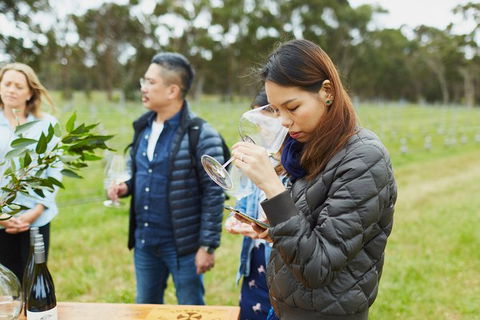 Organic Vineyard/Farm Tour - Travel Agents 1