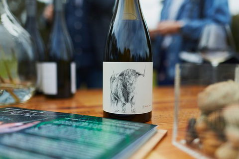 Organic Vineyard/Farm Tour - Travel Agents 5