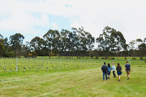 Organic Vineyard/Farm Tour - Travel Agents 7
