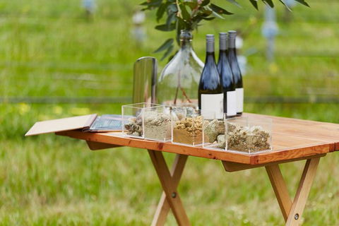 Organic Vineyard/Farm Tour - Travel Agents 3