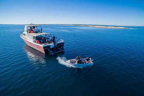 Abrolhos Islands 4 Day Fishing Charter - Tourism Guide 0