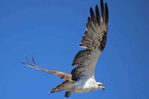 Romance Aircraft Flight + Scenic Tour + 3 Course Lunch + Beer Tasting + Hamper - Tourism Guide 4