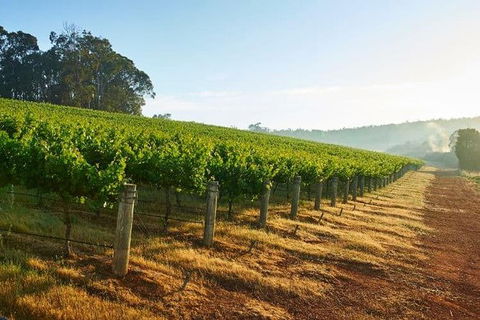 Botanical Gardens, Winery And Scenic Full Day Tour - Tourism Guide 2