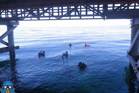 PADI Open Water Course - Tourism Guide 3