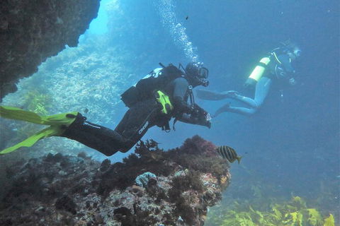 PADI Open Water Course - Tourism Guide 2