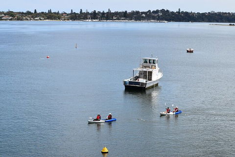 Cliffs And Caves Kayak Tour In Swan River - Tourism Guide 5