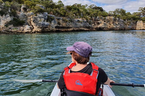 Cliffs And Caves Kayak Tour In Swan River - Tourism Guide 1