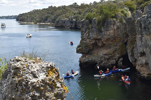 Cliffs And Caves Kayak Tour In Swan River - Tourism Guide 2