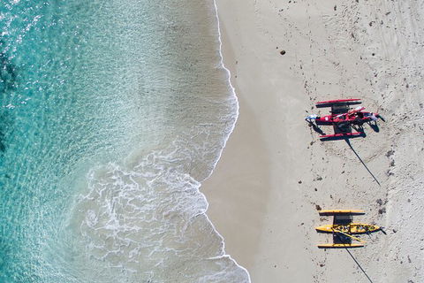 Sailing Kayak Adventure Through The Peel Harvey Estuary - Tourism Guide 4