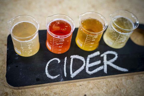 Bickley Valley Wine & Cider Tour - Premium Small Group Tour - Tourism Guide 1