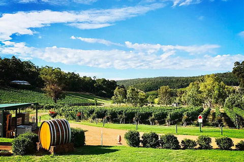 Bickley Valley Wine & Cider Tour - Premium Small Group Tour - Tourism Guide 0