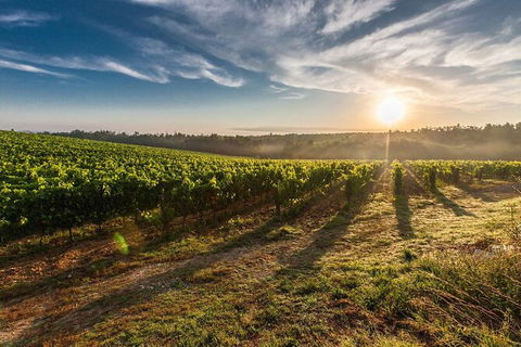 Perth To Margaret River Wine Tour - 2 Day Premium Boutique Wine Tour Experience - Tourism Guide 0
