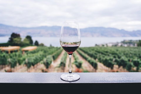 Full-Day Gourmet Wine Tour With Pick Up And Lunch - Tourism Guide 1
