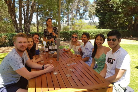 Full-Day Gourmet Wine Tour With Pick Up And Lunch - Tourism Guide 5