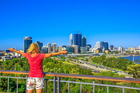 Full-Day Gourmet Wine Tour With Pick Up And Lunch - Tourism Guide 2