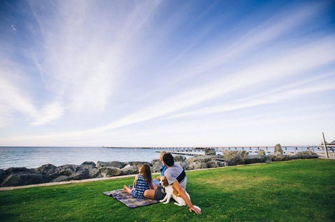 Full-Day Gourmet Wine Tour With Pick Up And Lunch - Tourism Guide 4