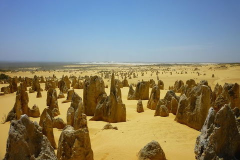 Pinnacles Desert Private Tour - Tourism Guide 5