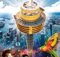 Sydney Tower Eye - Cruises Travel