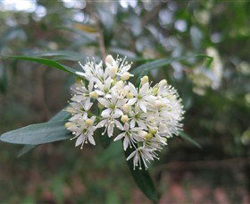 Brundee NSW Tourism Guide