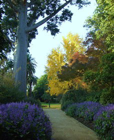 Albury Botanic Garden - Tourism Guide 0