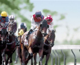 Colac Turf Club - Tourism Guide 0