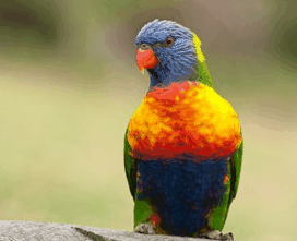 Booderee National Park - Tourism Guide 1