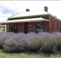Lavender House in Railway Park - Cruises Travel