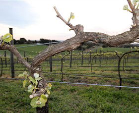 Nalbra Estate Wines - Tourism Guide 0