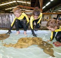 Australian Shark and Ray Centre - Tourism Guide