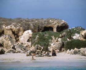 Jurien Bay WA Cruises Travel