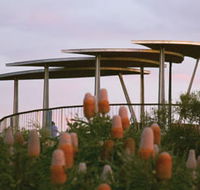 Reabold Hill Summit Boardwalk Bold Park - Tourism Guide