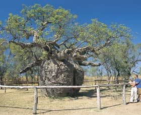 St George Ranges WA Tourism Guide