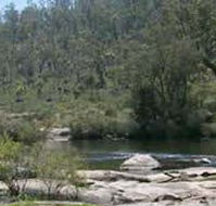 Wellington Discovery Forest - Tourism Guide