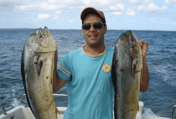 Jervis Bay Fishing and Charters - Tourism Guide