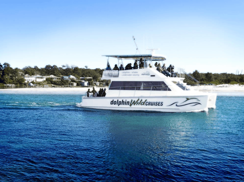 Dolphin Wild Cruises - Tourism Guide 1
