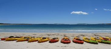 Jervis Bay Kayak & Paddlesports - Tourism Guide 5
