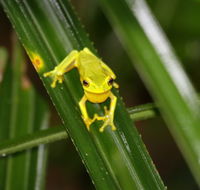 Daintree River Cruise Centre - Cruises Travel