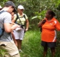 Ingan Tours - Spirit of the Rainforest Tour - Cruises Travel