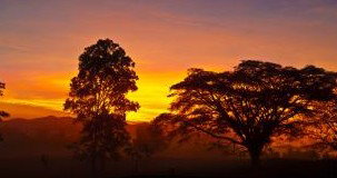Ingan Tours - Spirit Of The Rainforest Tour - Tourism Guide 3