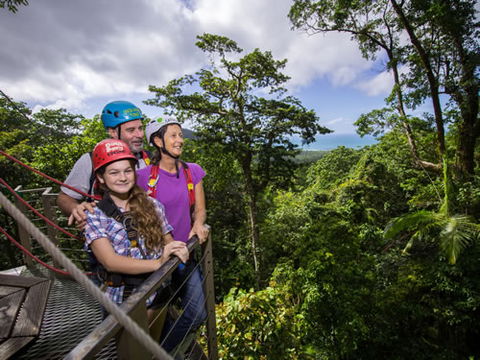 Jungle Surfing Canopy Tours And Jungle Adventures Nightwalks - Tourism Guide 1
