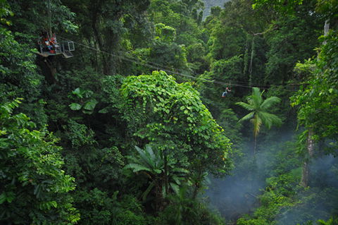 Jungle Surfing Canopy Tours And Jungle Adventures Nightwalks - Tourism Guide 3